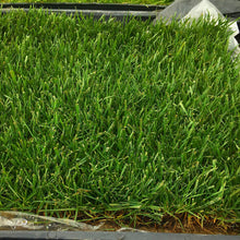 Load image into Gallery viewer, tall fescue sod delivery