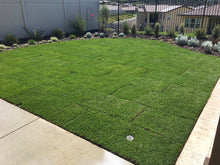 Load image into Gallery viewer, west coaster tall fescue grass sod