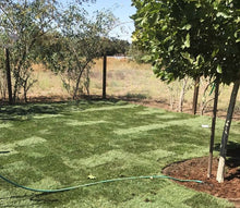 Load image into Gallery viewer, west coaster sod lawn