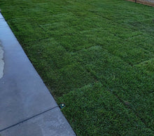 Load image into Gallery viewer, west coast tall fescue sod installation