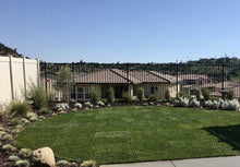 Load image into Gallery viewer, West Coast turf