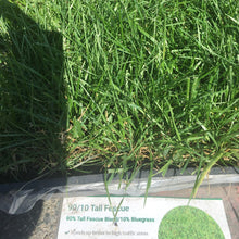 Load image into Gallery viewer, 90 10 tall fescue
