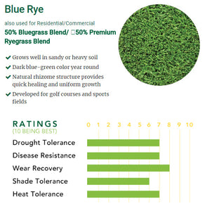 blue rye sod ratings