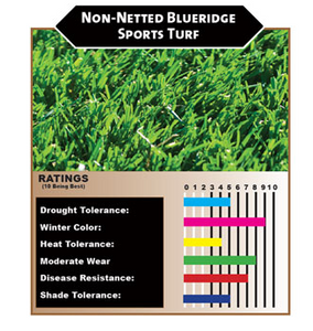 Non-Netted Blueridge sports turf - Bay Area Sod and Seed