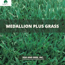 Load image into Gallery viewer, Medallion Plus Tall Fescue with Bluegrass Sod
