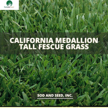 Load image into Gallery viewer, Best Tall Fescue Sod
