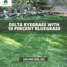 Load image into Gallery viewer, Perennial Rye Grass with Kentucky Bluegrass
