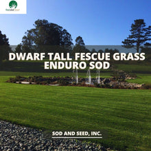 Load image into Gallery viewer, Best Dwarf Tall Fescue Grass Enduro Sod
