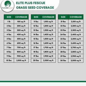 Elite Plus Fescue Grass Seed - Native Lawn Delivery