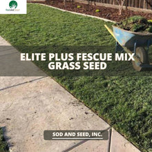 Load image into Gallery viewer, Elite Plus Fescue Grass Seed - Native Lawn Delivery
