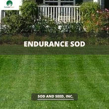Load image into Gallery viewer, Endurance Dwarf Fescue with Kentucky Bluegrass Sod
