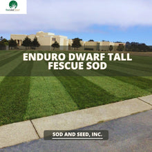 Load image into Gallery viewer, Enduro Best Dwarf Tall Fescue Sod
