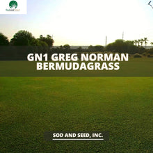 Load image into Gallery viewer, GN1 Greg Normal Bermuda Grass Sod
