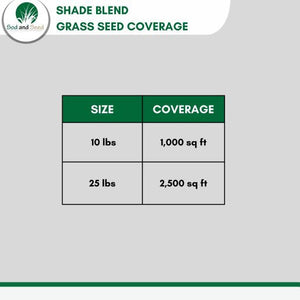 shade blend grass seed