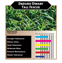 Load image into Gallery viewer, Dwarf Tall Fescue Sod and Seed
