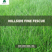 Load image into Gallery viewer, Hillside Fescue Sod
