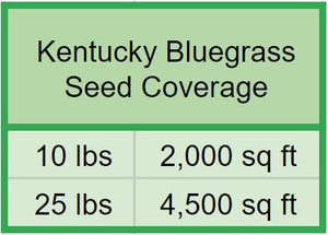 Kentucky Bluegrass Seed - Native Lawn Delivery