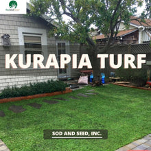 Load image into Gallery viewer, Kurapia Turf
