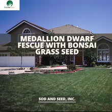 Load image into Gallery viewer, Medallion Dwarf Fescue with Bonsai Grass Seed - Native Lawn Delivery

