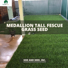 Load image into Gallery viewer, Medallion Tall Fescue Grass Seed - Native Lawn Delivery
