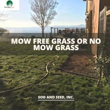 Load image into Gallery viewer, Best Mow Free Grass No Mow Sod

