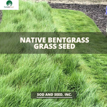 Load image into Gallery viewer, Native Bentgrass Seed - Native Lawn Delivery
