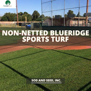 sports turf