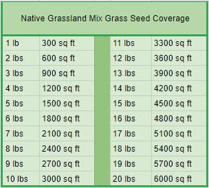 Native Grassland Mix Grass Seed - Native Lawn Delivery