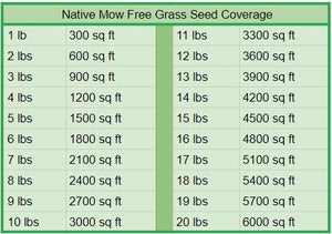 Native Mow Free Grass Seed - Native Lawn Delivery