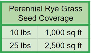 Perennial Rye Grass Seed - Native Lawn Delivery