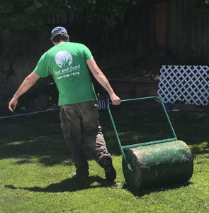 sod installation