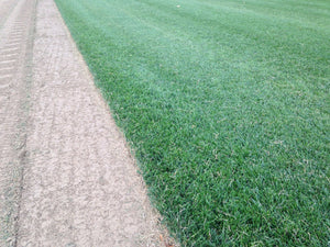 rtf sod farm field