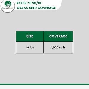 Rye grass bluegrass grass seed