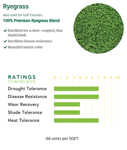 perennial ryegrass seed rating