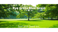 Load image into Gallery viewer, ryegrass with bluegrass
