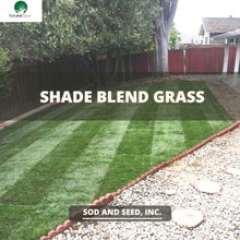 Load image into Gallery viewer, Shade Blend Best Grass for Shady Lawn
