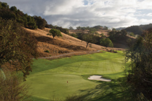 santa ana bermuda sod