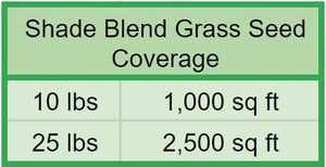 Shade Blend Fescue Seed for Grass Lawn - Native Lawn Delivery