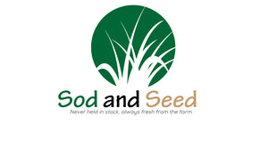 Hillside Fine Fescue - Bay Area Sod and Seed