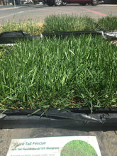 Load image into Gallery viewer, tall fescue sod price
