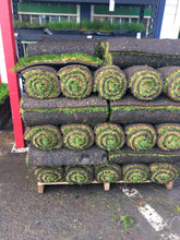 Load image into Gallery viewer, pallet of fescue with bluegrass sod
