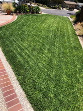 Load image into Gallery viewer, tall fescue sod lawn
