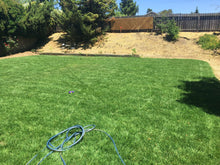 Load image into Gallery viewer, tall 9010 sod fescue with bluegrass lawn
