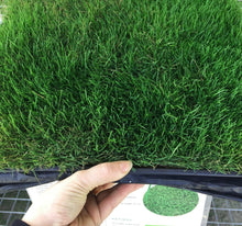 Load image into Gallery viewer, tifway 2 bermuda grass sod
