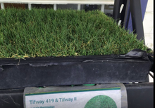 Load image into Gallery viewer, Tifway 419 grass
