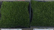 Load image into Gallery viewer, bluegrass sod vs shade blend sod
