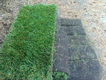 Load image into Gallery viewer, fescue sod elite plus
