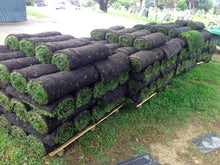 Load image into Gallery viewer, fescue sod on pallets
