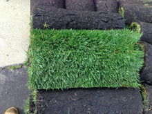 Load image into Gallery viewer, fescue sod tall 9010
