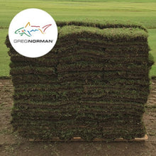 Load image into Gallery viewer, GN1 Greg Norman Bermudagrass - Native Lawn Delivery
